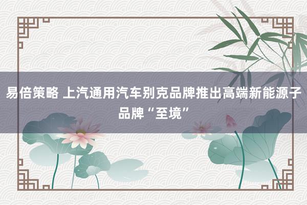 易倍策略 上汽通用汽车别克品牌推出高端新能源子品牌“至境”