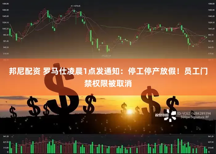 邦尼配资 罗马仕凌晨1点发通知：停工停产放假！员工门禁权限被取消