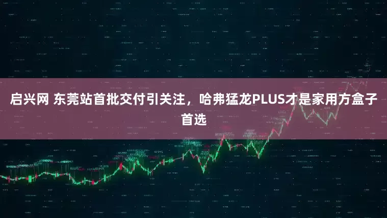 启兴网 东莞站首批交付引关注，哈弗猛龙PLUS才是家用方盒子首选